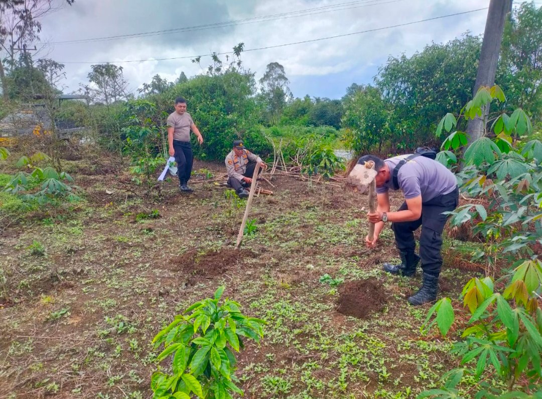 Polsek Pangururan Persiapkan Lahan Ketahanan Pangan di Desa Sijambur Samosir