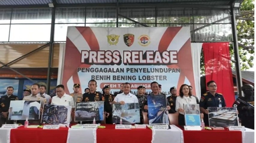 Bareskrim Polri Gagalkan Penyelundupan 151 Ribu Benih Lobster di Perairan Bintan