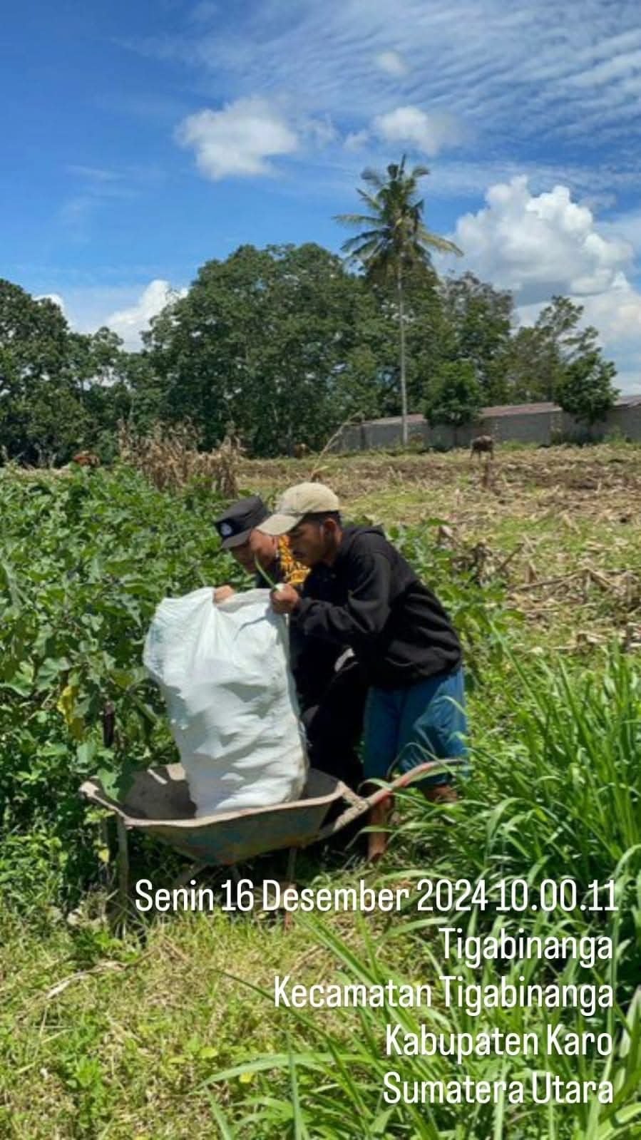 Bhabinkamtibmas Polsek Tigabinanga Sambangi Petani di Desa Kuta Galoh