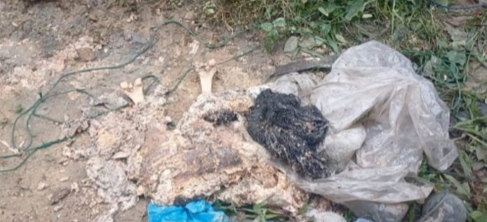 Kerangka di Dalam Sumur, Bagian Tubuh Manusia