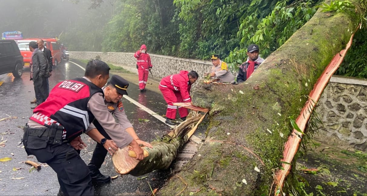 Polres Tanah Karo Gerak Cepat Atasi Pohon Tumbang di Jalan Berastagi-Medan