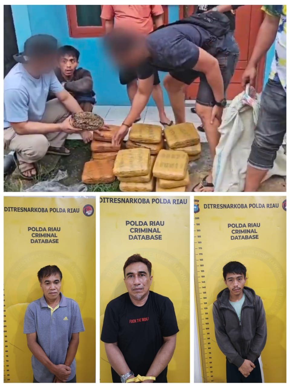 Polda Riau Gagalkan Peredaran 15,61 Kg Ganja dari 3 Tersangka saat Pesta Narkoba