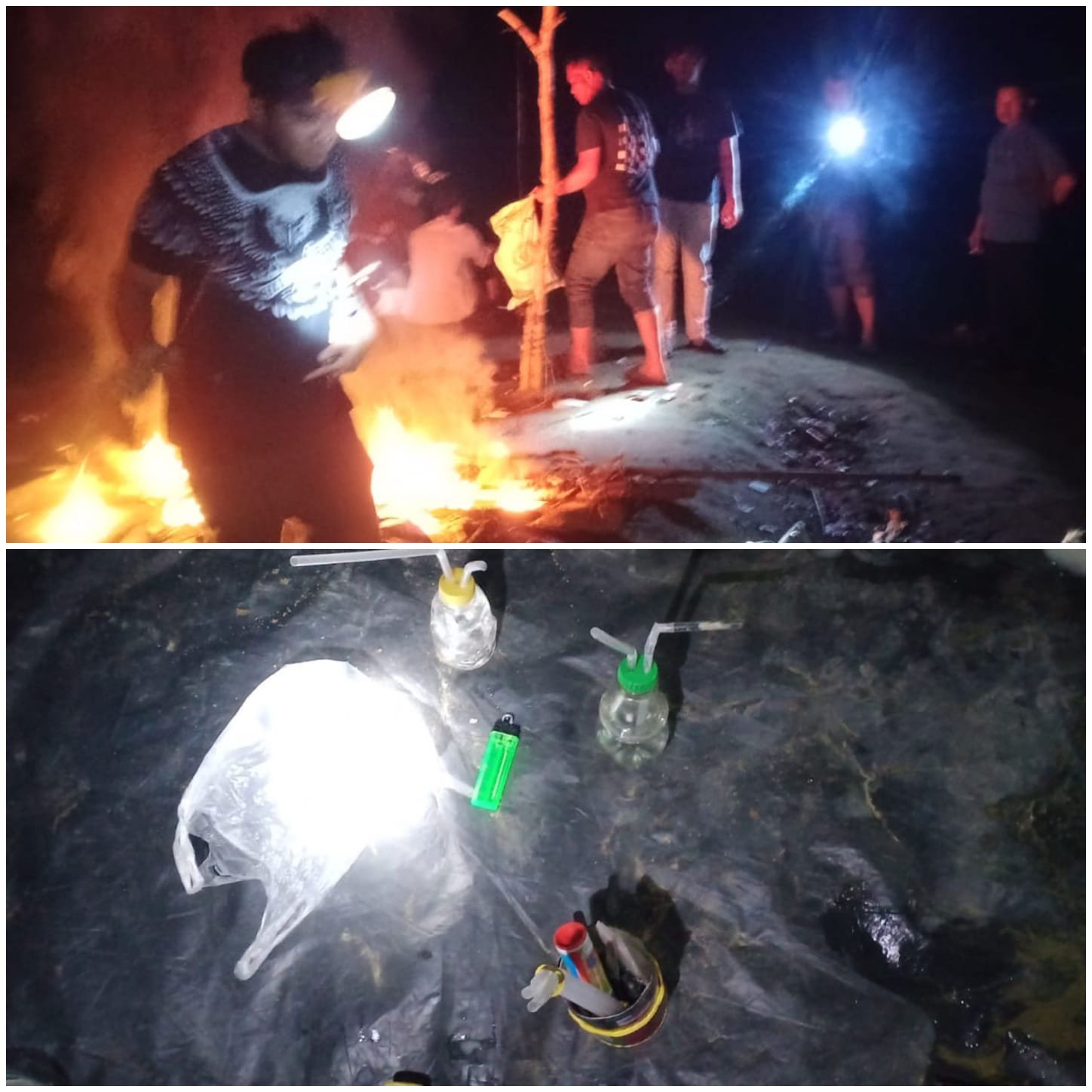 Sat Narkoba Polres Langkat Bongkar Sarang Sabu di Perkebunan Sawit