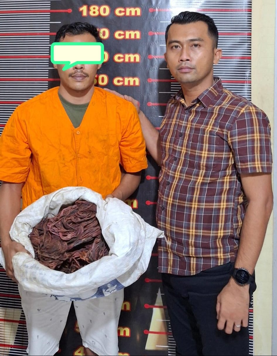 Reskrim Polsek Stabat Ringkus Maling Kabel Las