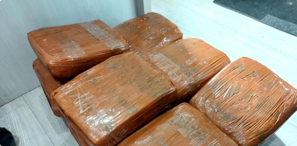 Polisi Bongkar Peredaran Ganja 34 Kg Jaringan Sumut-Jakarta