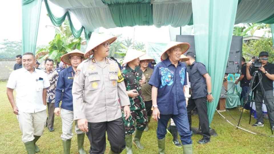 Ikuti Panen Raya Serentak, Syah Afandin: Wujudkan Swasembada Pangan