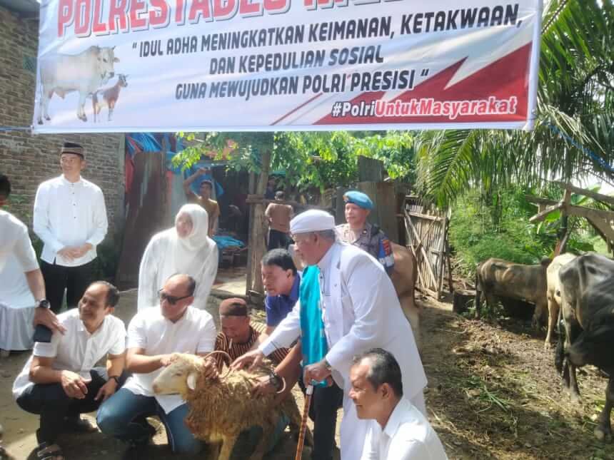 Polrestabes Medan Sembelih 13 Lembu dan Empat Kambing