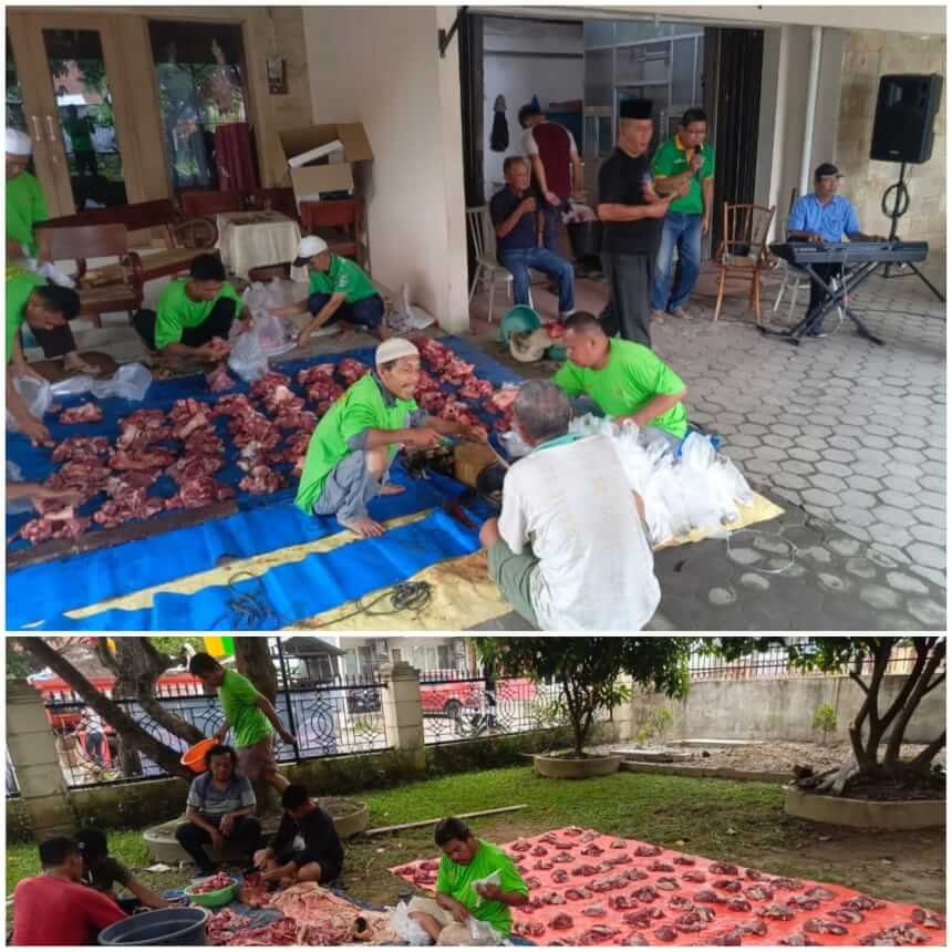 Idul Adha 1446 H, Keluarga Besar Alm H.H Harahap Kurban 3 Ekor Lembu