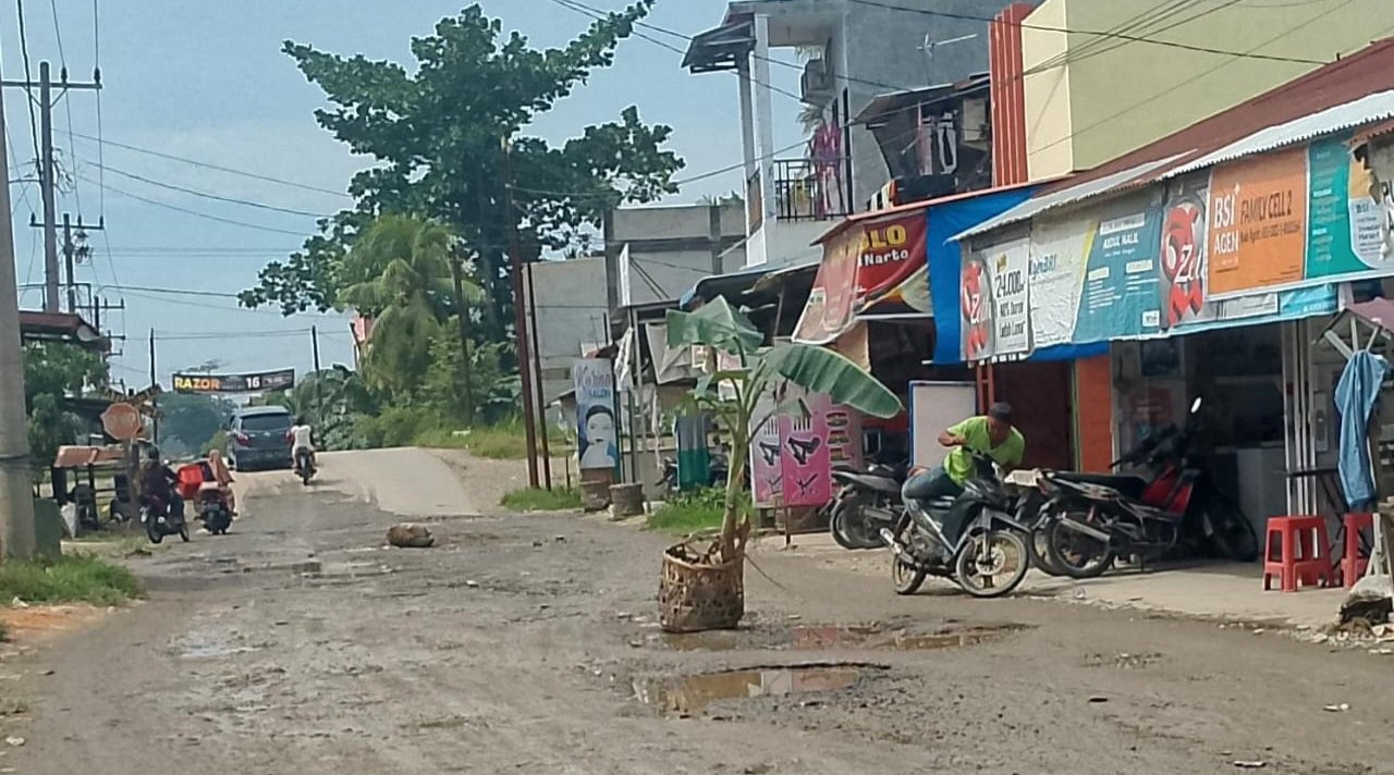 Jalan Hancur, Warga Tanam Pohon Pisang di Tengah Jalan