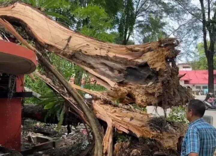 Angin Kencang Terjang Kota Medan, BMKG Prediksi Berlangsung 3 Hari