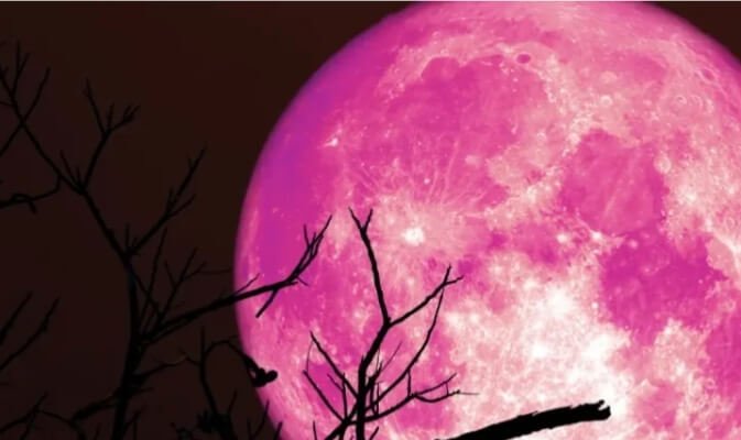 Strawberry Moon, Fenomena Alam Menakjubkan di Langit Juni: Bisa Dilihat di Indonesia