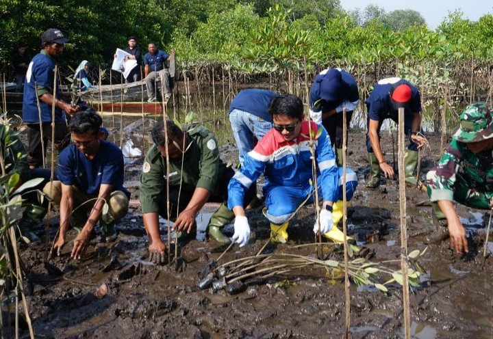 Sambut Hari Mangrove Sedunia, PEP Pangkalan Susu Perkuat Ekosistem Pesisir Desa Pasar Rawa