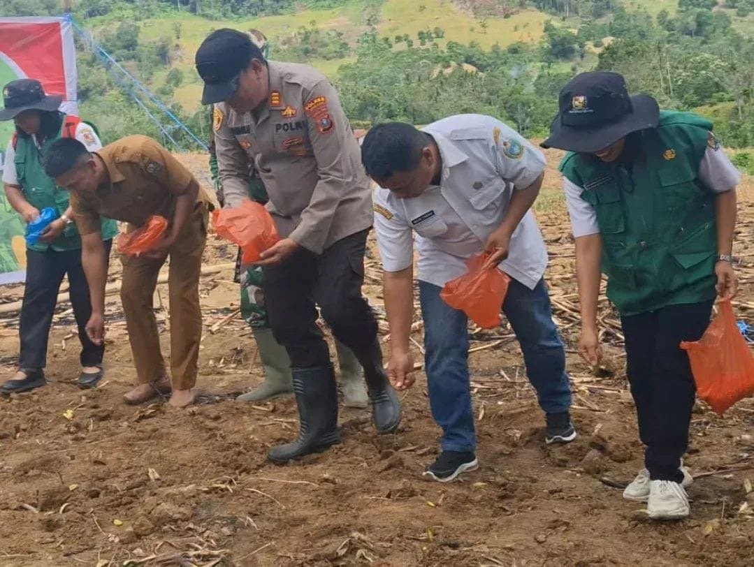 Polsek Juhar Ikut Sukseskan Penanaman Jagung Serentak Kuartal III