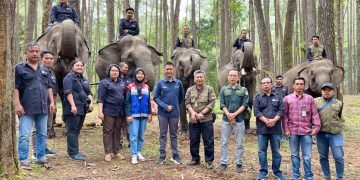 Pertamina Patra Niaga FT Pematang Siantar Dukung Wisata Edukasi Konservasi Gajah di Aek Nauli