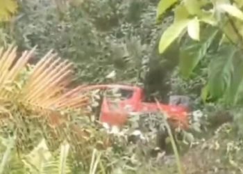 Kembali, Mobil Double Cabin Masuk Jurang di Jalan Menuju Wisata Tangkahan