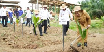 Pemkab Langkat Tanam 360 Ribu Pohon Kelapa
