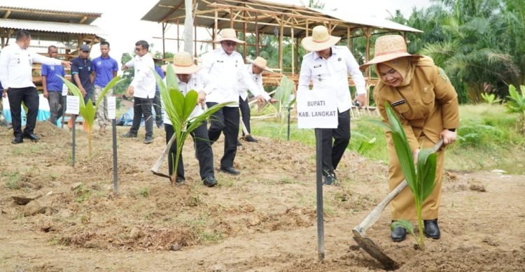 Pemkab Langkat Tanam 360 Ribu Pohon Kelapa