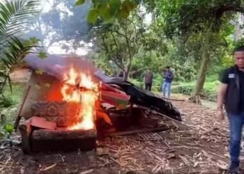 Sarang Narkoba di Simalingkar Digerebek, Barak Dibakar