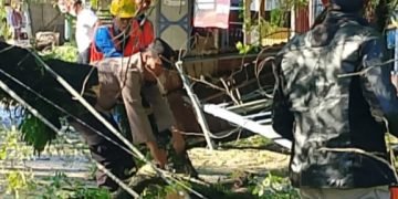 Hujan Disertai Angin Kencang Rubuhkan Pohon, Dua Rumah Rusak