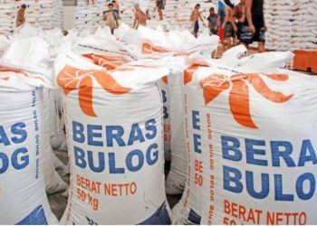 Pengamat Ekonomi: Bulog Kembali Gelontorkan Beras, Bisa Dorong Penurunan Harga Beras di Sumut