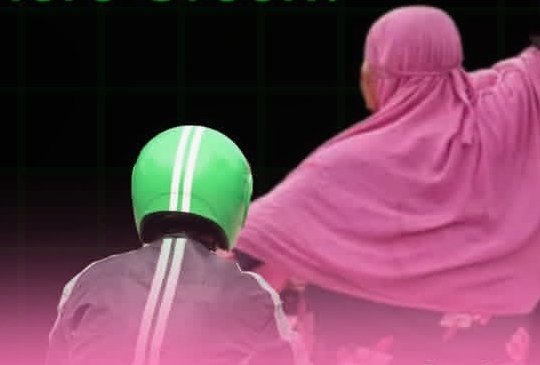 Brave Pink Hero Green Mulai Diikuti Sejumlah Artis: Dari Dian Sastro Hingga Afgan 
