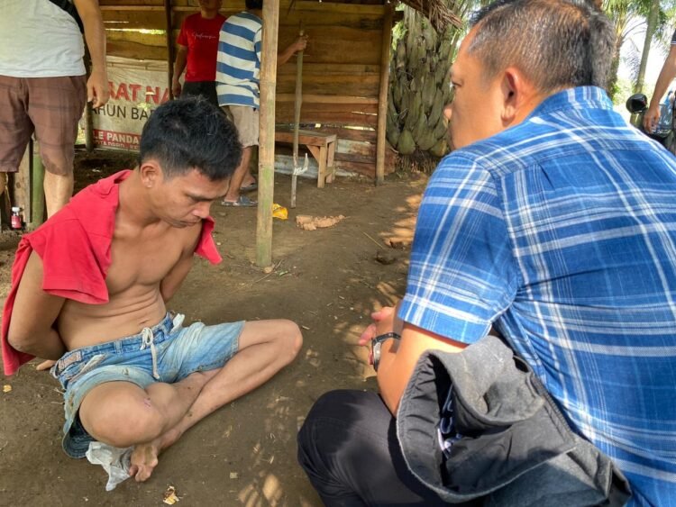 Nyamar Gunakan Betor, Sarang Narkoba Perkebunan Sawit di Pancurbatu Digerebek