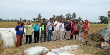 BULOG Sumut Siap Serap Gabah Petani dengan Harga Rp6.500 per Kg