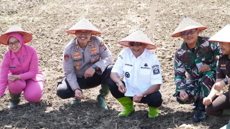 Syah Afandin Dukung Penanaman Jagung Serentak Kuartal IV Untuk Perkuat Ketahanan Pangan Langkat