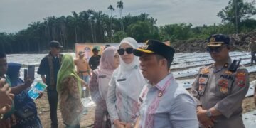 Dorang Ketapang dan Stabilitas Harga Pangan Kabupaten Palas, Bupati Bersama Ketua TP PKK Tanam Cabe Merah Perdana