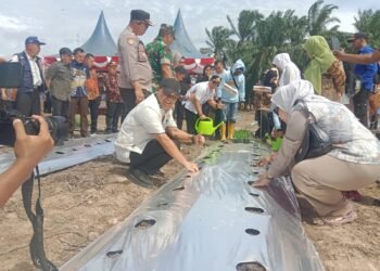 Program UHC Kabupaten Palas Bulan Juli 2025 Sudah Mencapai Prioritas