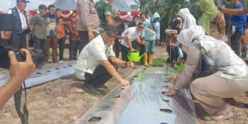 Program UHC Kabupaten Palas Bulan Juli 2025 Sudah Mencapai Prioritas