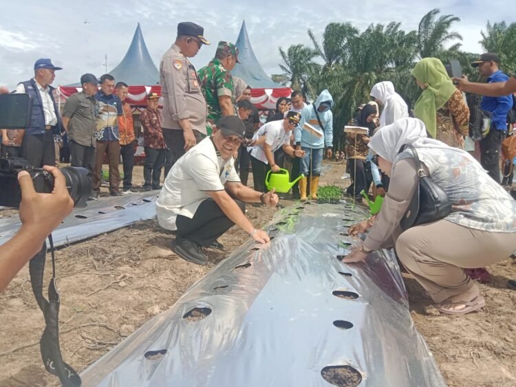 Program UHC Kabupaten Palas Bulan Juli 2025 Sudah Mencapai Prioritas