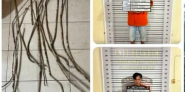 Dua Rayap Besi Ditangkap Polsek Medan Timur di HM Yamin