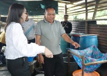 Kunjungi Pabrik Tahu Rumahan,Ini Janji Ketua Dewan Kerajinan Nasional Daerah Pakpak Bharat