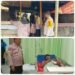Polres Tanah Karo Tangani Cepat Laporan Penganiayaan di Kedai Tuak Gung Negeri