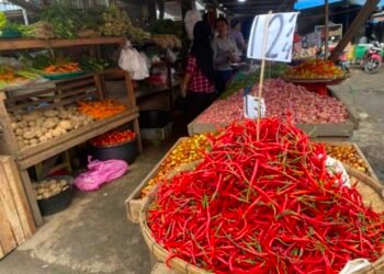 Saluran Distribusi Cabai Merah Ke Sumut Banyak, Harga Cabai Merah Terjun Bebas