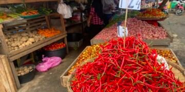 Saluran Distribusi Cabai Merah Ke Sumut Banyak, Harga Cabai Merah Terjun Bebas