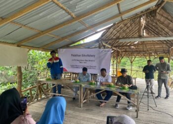 Pertamina EP Pangkalan Susu Dorong Konservasi Mangrove Lewat Pelatihan Silvofishery