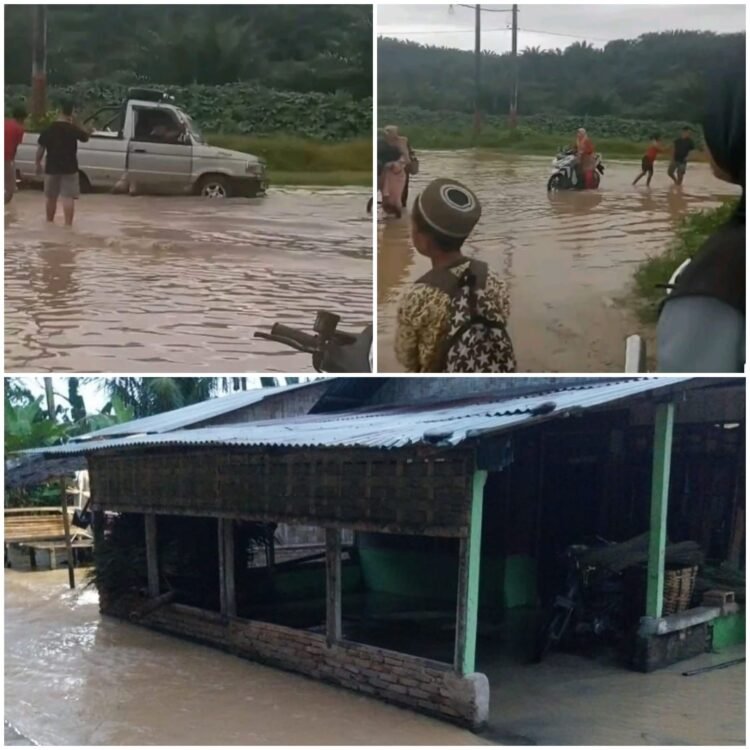 Bencana Hidrometeorologi di Aceh, Sumut serta Sumbar, 174 Meninggal, 79 Hilang dan 12 Luka-Luka