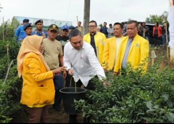 Bupati Pakpak Bharat Ajak Anggota DPR RI Ahmad Doli Kurnia Tandjung Kunjungi Lahan Cabai