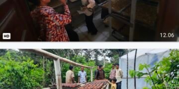 IKM Pengolahan Gambir Kab.Pesisir Selatan Studi Banding Pengolahan Gambir ke Pakpak Bharat