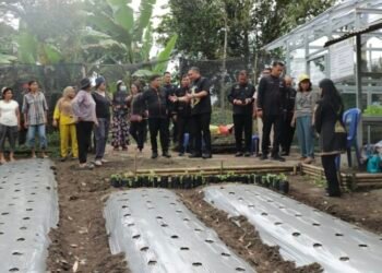 Bupati Pakpak Bharat Kunjungi Kebun B2SA PKK Desa Silima Kuta