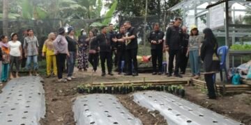 Bupati Pakpak Bharat Kunjungi Kebun B2SA PKK Desa Silima Kuta