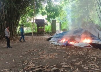 Polsek Kutalimbaru Musnahkan Barak Pengguna Narkoba di Tiga Dusun