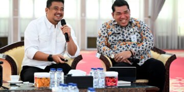 Pemprov Sumut Susun Strategi Pengembangan Kawasan Unggulan Tiga Sektor