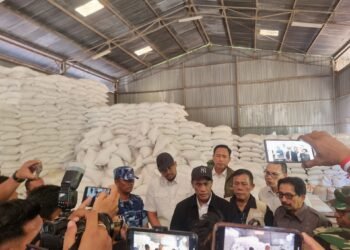Mentan Pastikan Stok Beras Sumut Aman, Siapkan 3 Kali Lipat dari Kebutuhan