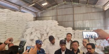 Mentan Pastikan Stok Beras Sumut Aman, Siapkan 3 Kali Lipat dari Kebutuhan