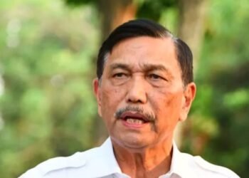 Dituding Sebagai Bos Toba Pulp Lestari, Ini Pengakuan Luhut Pandjaitan