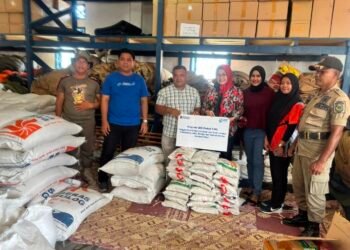 Peduli Korban Banjir, BRI Panyabungan Serahkan Bantuan Melalui BPBD Madina