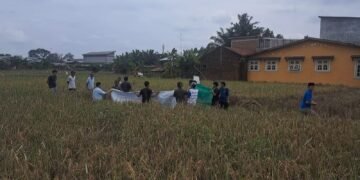 Remaja 16 Tahun Terseret Arus Banjir Ditemukan Tewas di Lorong Sawah Payageli